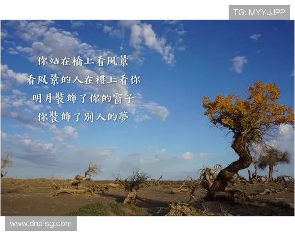 深度对话周军排球人生的起伏与坚持探索 深度对话周军排球人生的起伏与坚持探索