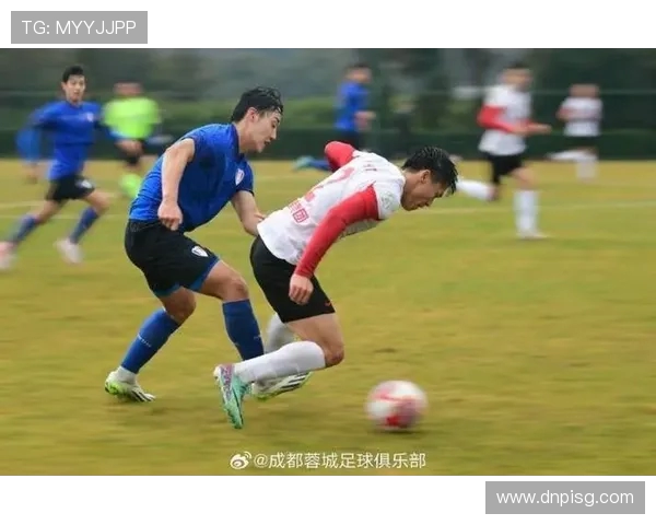 南京篮球队与成都篮球队赛后战术分析与总结探讨